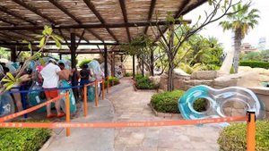 Аквапарк Атлантис Дубай: как получить бесплатный билет.