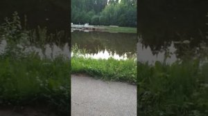 Это наш пруд для отдыха в санатории Кирова Вятские Увалы.