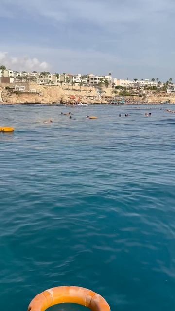 Жаркая зима в Египте. Hotel Sierra. Red Sea. Sharm el Sheikh. Egypt #egypt #sea #animation смотреть онлайн