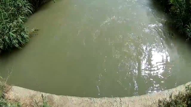 VLOG: ДЕНЬ РОЖДЕНИЯ х РЕЧКА х ПАТИМЕЙКЕР / Дмитрий Воробьёв смотреть онлайн