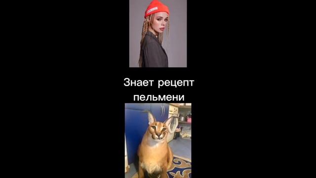 Инстасамка против Шлёпы. Раунд 2 смотреть онлайн