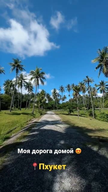 #тайланд #таиланд #пхукет #отпуск #море #природа смотреть онлайн