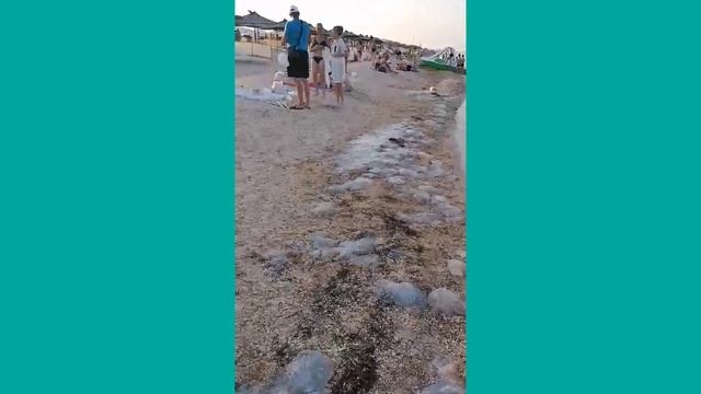 Курорт🦢Арабатская стрелка и Глицериновое озеро в Стрелково🌊