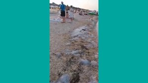 Курорт🦢Арабатская стрелка и Глицериновое озеро в Стрелково🌊
