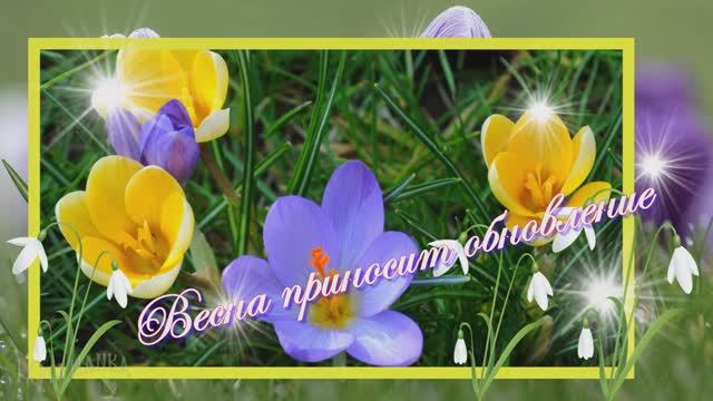 Чудесного весеннего дня, друзья! 🍦🍦🍦 смотреть онлайн