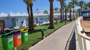 Отель Albatros Sharm Resort - Sharm El Sheikh 4* (12.03.2024)