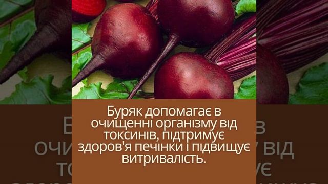 Українська кухня багата на натуральні та корисні інгредієнти, які часто можна віднести до категорії