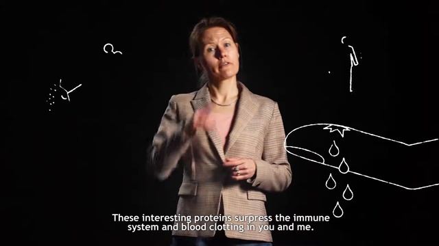 Tick saliva against cardiovascular diseases - Ingrid Dijkgraaf смотреть онлайн
