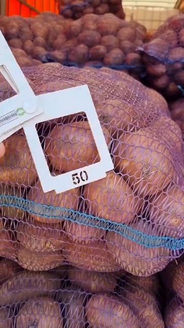 3 мая 2023 г. Картофель оптом:+7(912)22-013-26 смотреть онлайн