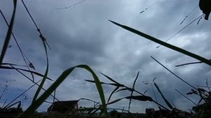 Рыбалка на Беловском канале/водохранилище! 🐟