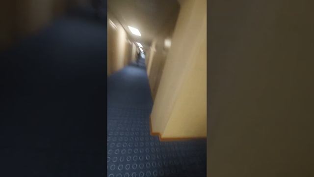 Роман Кох в прямом эфире! санаторий Сибирь, номер, балкон прогулка по этажам