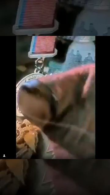 хрен знает что за видео смотреть онлайн