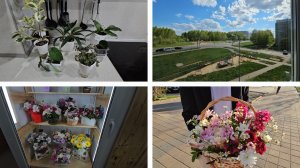 25.04.2025 г Посадка комнатных растений/ День дочерей/ Букет цветов шарики/ Сходили на день рождения