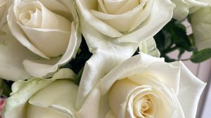 Kamik - Белые Розы...автор ролика Светлый..