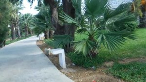 MARHABA CLUB 4  Тунис Сус