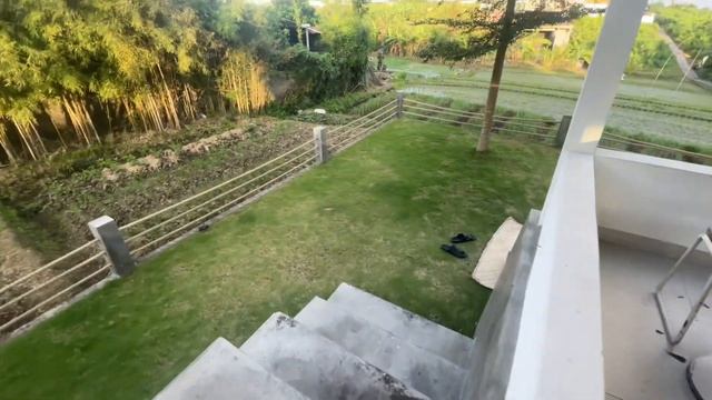 День 16: Обычный воскресный день и милые моменты с Марли смотреть онлайн