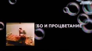 Анзор Вены И Айшат