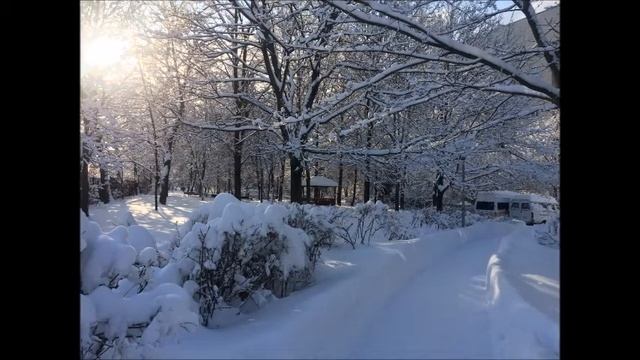 ЗИМНИЕ ВИДЫ ПАНСИОНАТА смотреть онлайн