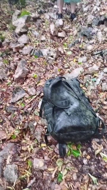 коротко о погоде в горах крыма #крым #кот #travel #котокрым смотреть онлайн