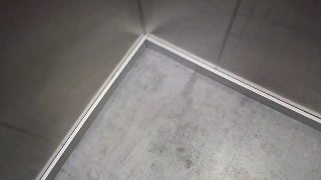 Лифты в Сочи Парке (отель) ThyssenKrupp 2012 года г/п 1000кг. Вместимость 13 человек. смотреть онлайн