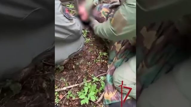 Кадры задержания и обыска подозреваемого в убийстве полицейского в Кингисеппе.