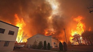 Арестован поджигатель лесов Нью-Джерси. Подросток сжигал поддоны и уничтожил огнем половину штата