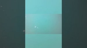 отель джустиниана Клаб Алания и пляж отеля