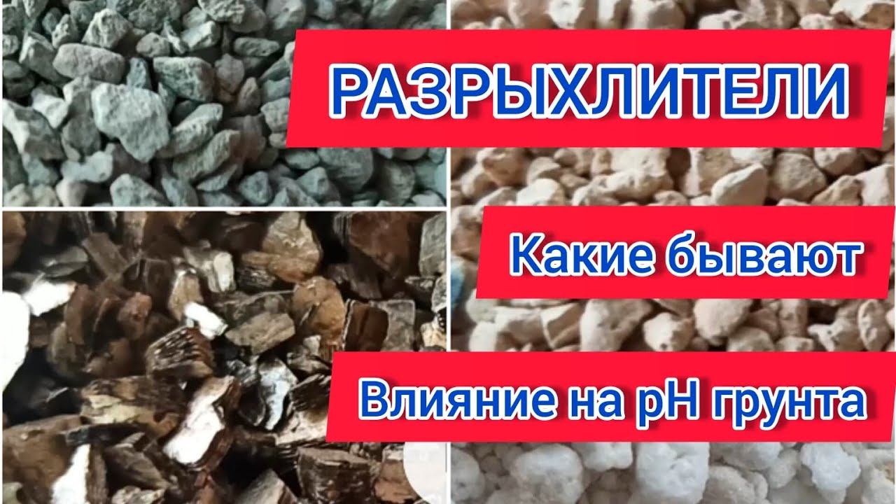 Самые популярные и доступные разрыхлители грунта. Плюсы и минусы, влияние на pH грунта
