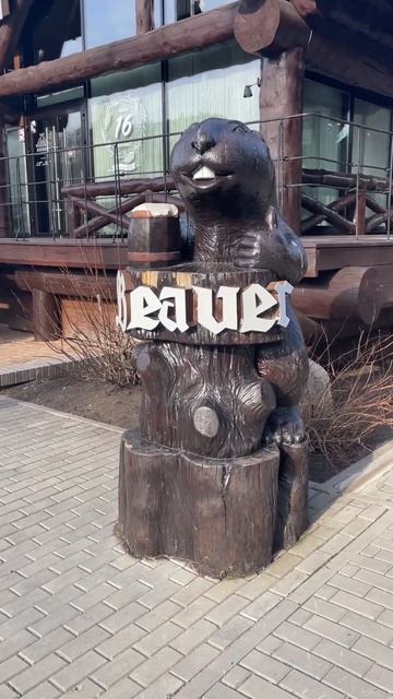 Пивбобр #бобёр #бобр #белокуриха #отдых #алтай #сибирь #россия #2023 смотреть онлайн