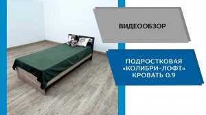 ТЭКС
Видео обзор. Подростковая Колибри - Лофт. Кровать 0.9.