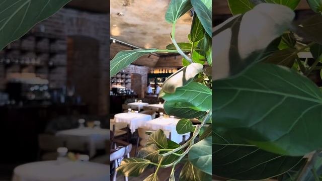 Ресторан Padron История 1я. 📍Москва. Страстной бульвар 7, стр.1