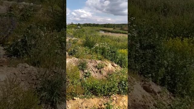 Челябинск летом смотреть онлайн