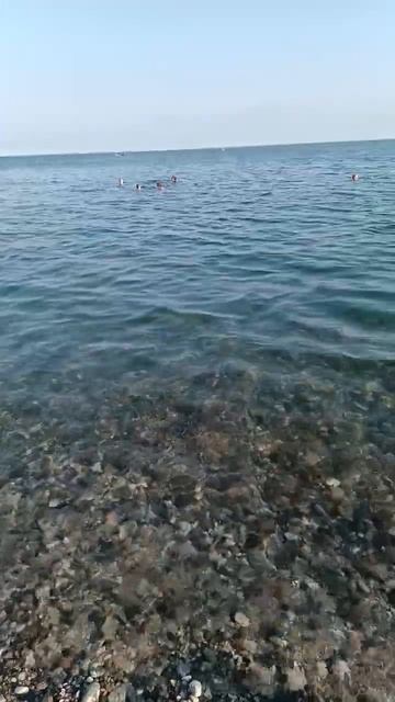 Абхазия/Пицунда смотреть онлайн