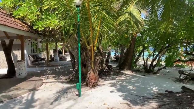 Мальдивы Hotel Elladhoo Maldives by Cinnamon смотреть онлайн