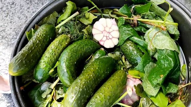 Отель в Адлере.Море.Набережная. Солёные огурцы:) смотреть онлайн