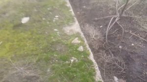 Плохая Погода Проврка Подъемный Петель на Куропатку и Фазана