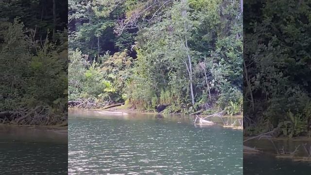 Радоновые озера [клип] смотреть онлайн