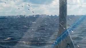 VID_20230720_155144