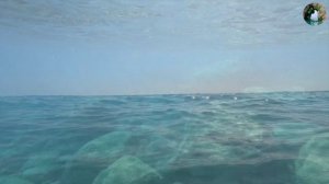 Самые впечатляющие факты о Средиземном море: открытия, рекорды, загадки.