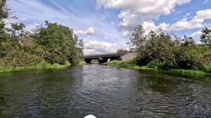 SUP Ижора2 в 4к (от моста на Киевском шоссе в поселке Вайя - до деревни Бор)