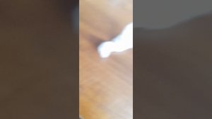 уборка в моей комнате 2 часть конец