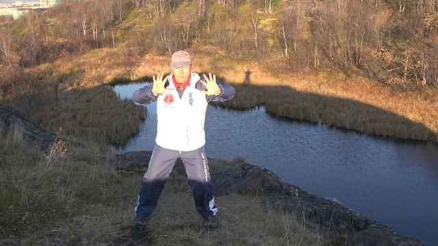 ШКОЛА ИЦЮАНЬ-96. ТУЙТУО ШИЛИ (ВРАЩЕНИЕ С ТОЛКАНИЕМ)