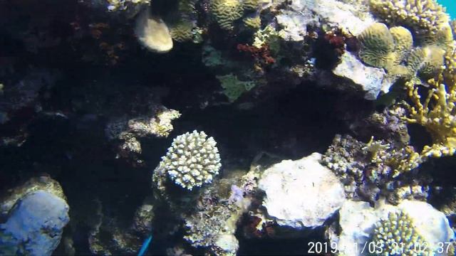 Египет под водой часть 1 смотреть онлайн