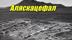 Alaskacephale