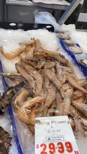 Frozen Seafoods #Shorts | Oysters + Prawns + Crabs + Mussels & Flat Head | Sydney Market | SeaFoods смотреть онлайн