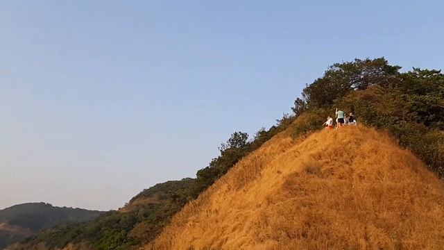 Wildernest & Swapnagandha Nature Resort, GOA (КУРОРТ "ДИКОЕ ГНЕЗДО" В ГОА) смотреть онлайн