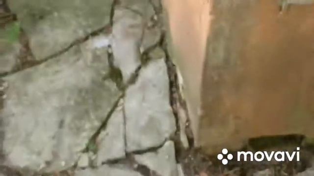 Пошли в заброшенный медпункт смотреть онлайн