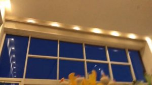 Sunrise diamond beach resort 5*  !!!! Мой отзыв )))