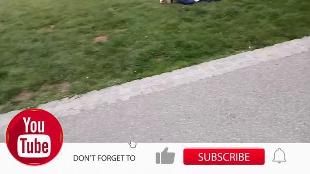 Мой первый Влог в Мюнхене!!! смотреть онлайн