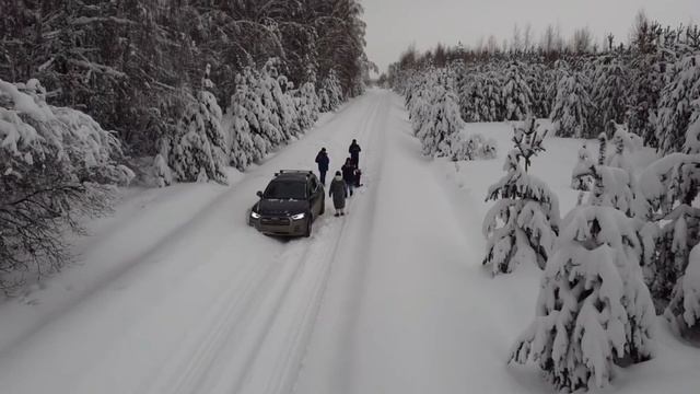 Зимние прогулки. Декабрь 2023 смотреть онлайн